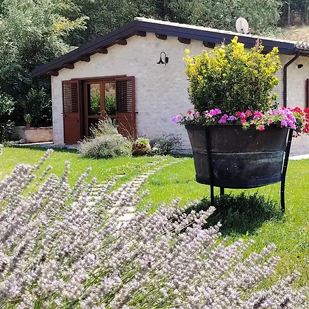 Farm stay Casale Tozzetti *